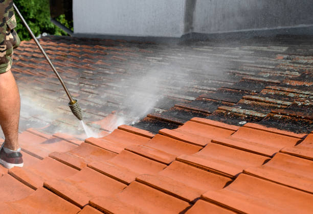 Best Concrete Pressure Washing  in Ladd, IL