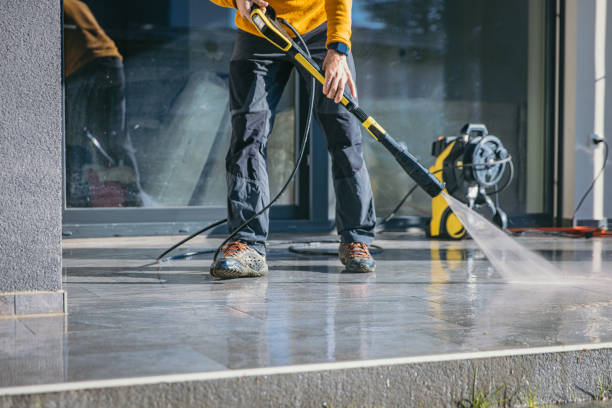 Best Pressure Washing Contractors  in Ladd, IL