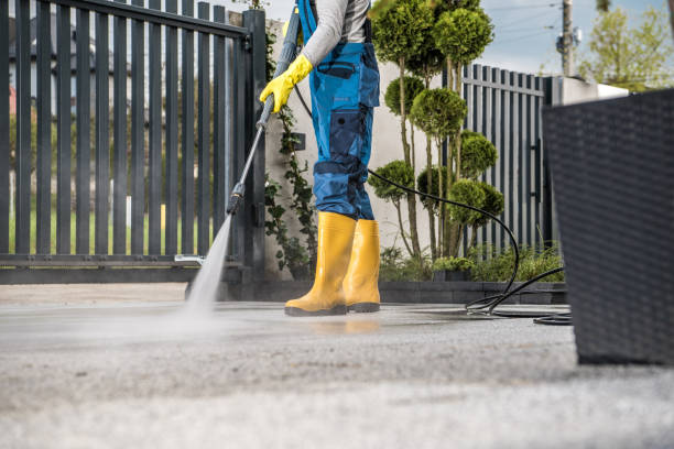 Best House Pressure Washing  in Ladd, IL