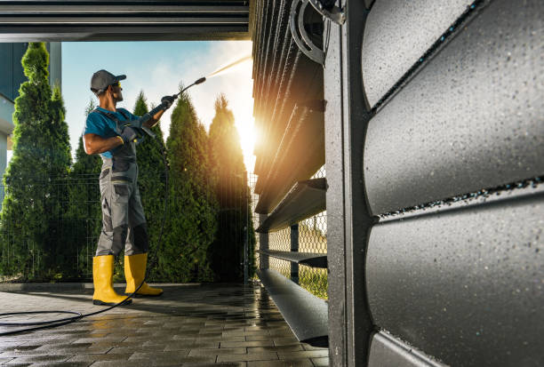Professional Pressure Washing in Ladd, IL