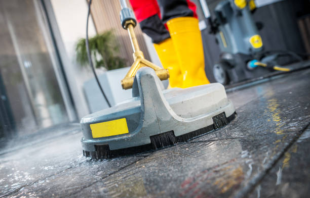 Best Pressure Washing Near Me  in Ladd, IL