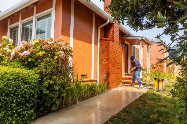 Best Sidewalk Pressure Washing  in Ladd, IL