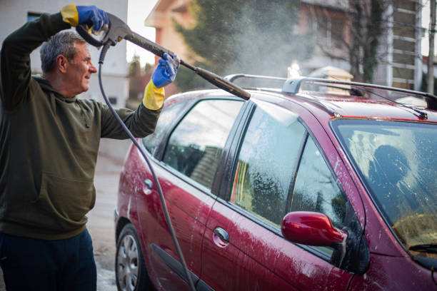 Best Pressure Washing Services Near Me  in Ladd, IL