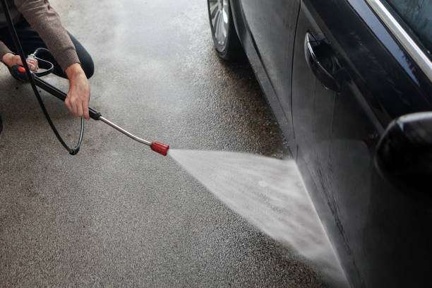 Best Roof Pressure Washing  in Ladd, IL