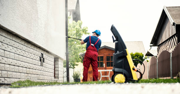 Best Sidewalk Pressure Washing  in Ladd, IL